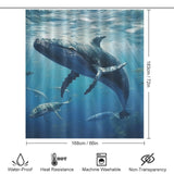 Soothing Power Whale Shower Curtain